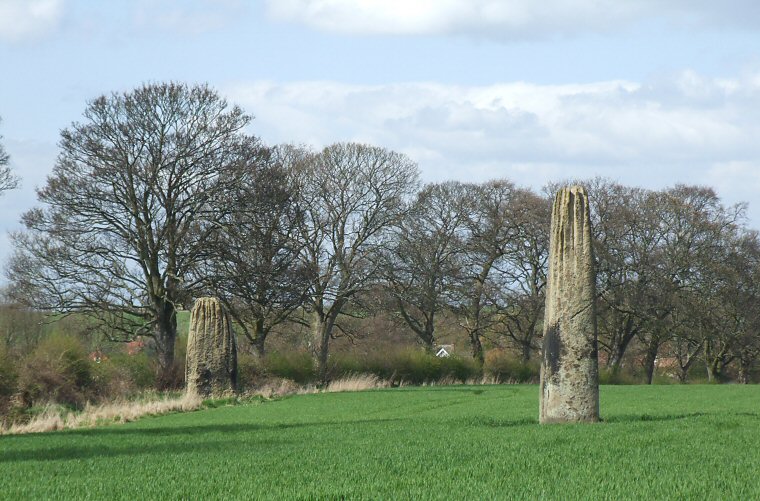 Devil's Arrows - central and northern stone