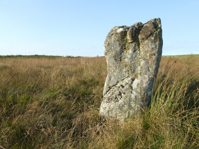 The only remaining upright of Doddington Moor stone circle