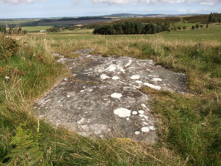 Dod Law Excavation Site (Stone A) landscape context