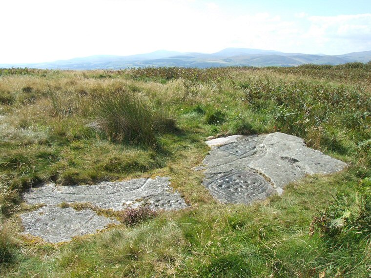 Dod Law Main Panel looking towards the Cheviots