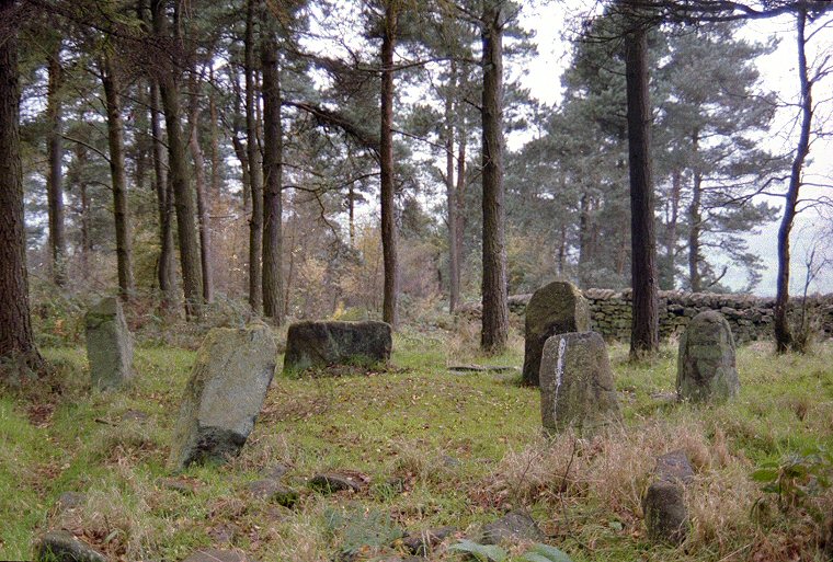 Doll Tor Stone Circle