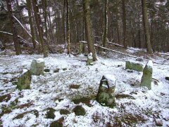 Doll Tor - Plan Of The Site