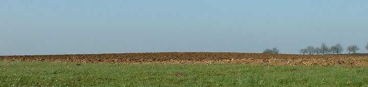 Donnington On Bain Bowl Barrow