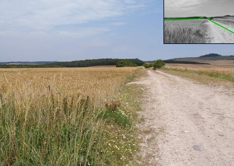 Looking northeast along the Pentridge Cursus, part of the larger Dorset Cursus