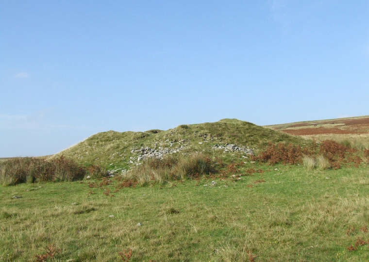 Drizzlecombe Gaint's Basin Cairn