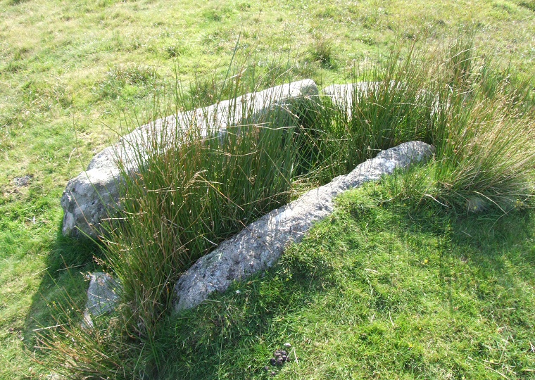 Drizzlecombe - stones of a possible cist
