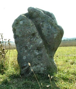 Possible large cup marks on one of the stones