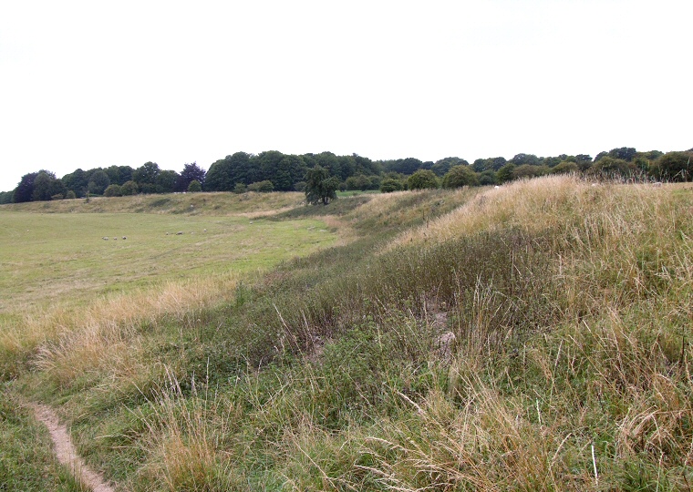 Durrington Walls - northwestern bank