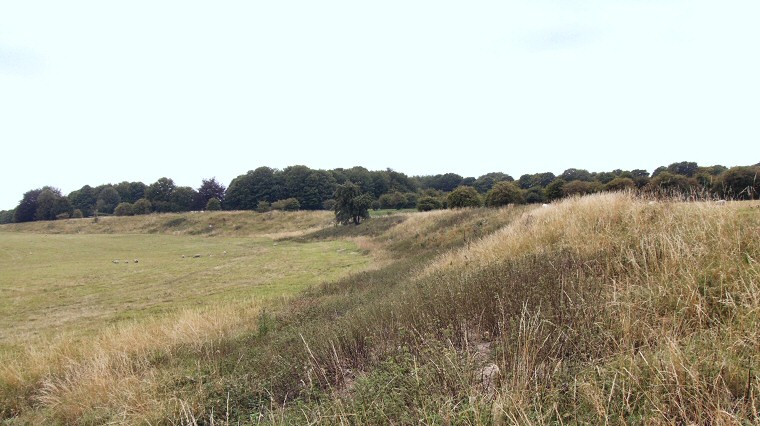 Durrington Walls - northwestern bank