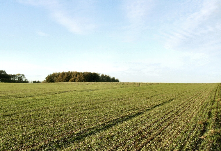 East Heslerton Long Barrow