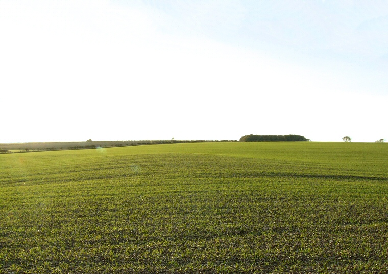 East Heslerton Long Barrow