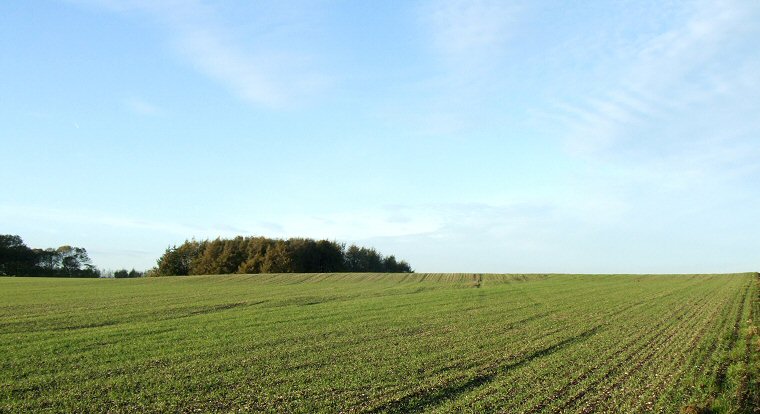 East Heslerton Long Barrow