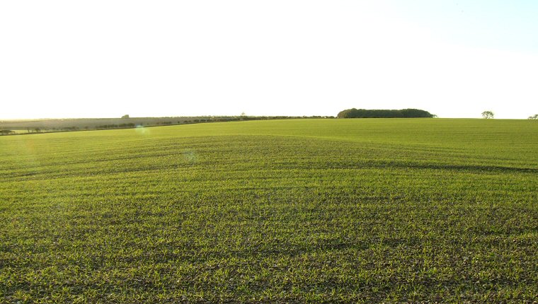 East Heslerton Long Barrow