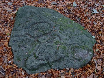 Eccelsall Wood Rock Carving