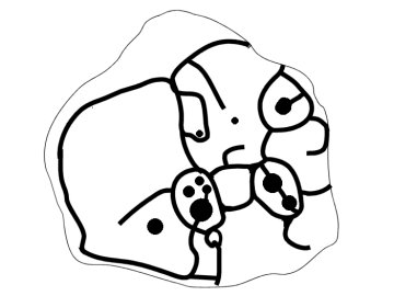 Eccelsall Wood - Plan Of Carving
