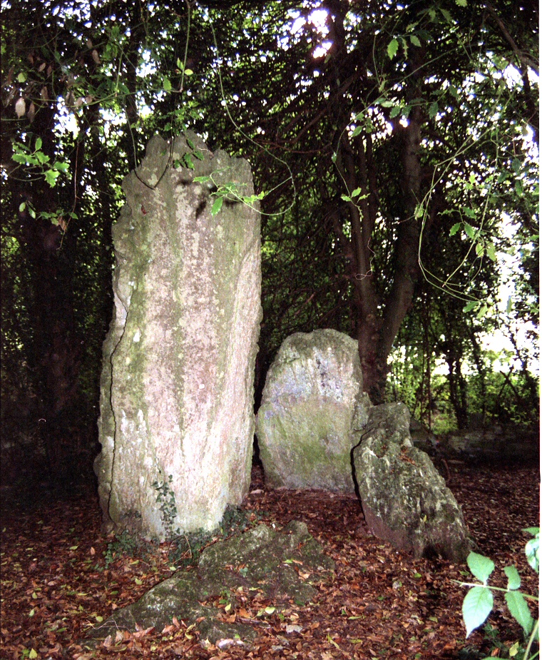 The Hoar Stone Chambered Tomb - Enstone. View looking west into the entrance of the chamber