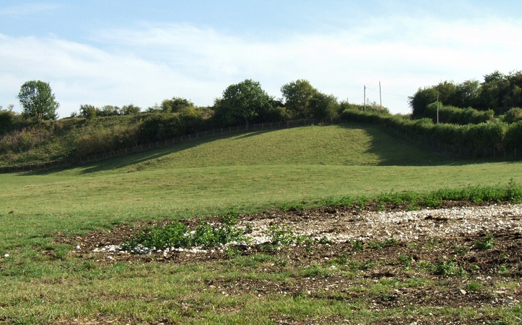 Looking south over the barrow