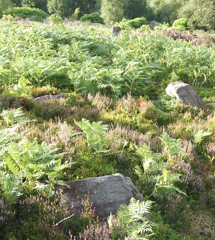 Ewden Beck outlier and southern entrance