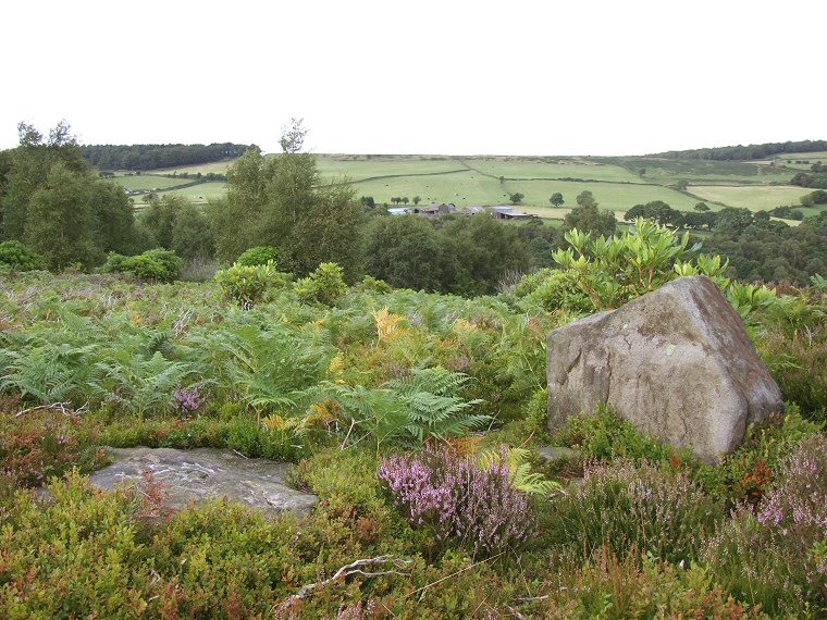 Ewden Beck looking north through the northern entrance