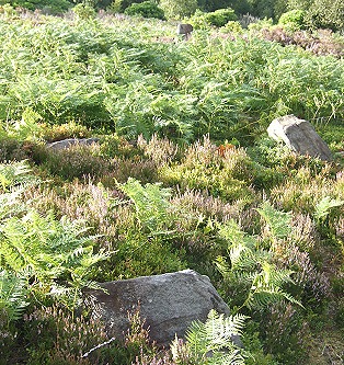 Ewden Beck outlier and southern entrance