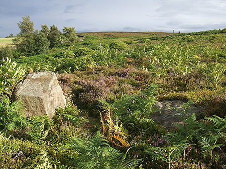 Ewden Beck looking south through the northern entrance