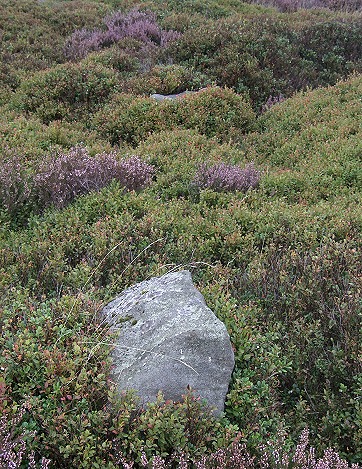 Eyam Moor III