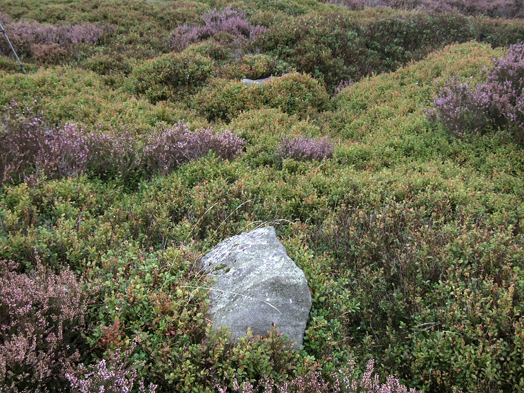 Eyam Moor III stone circle - two of the stones