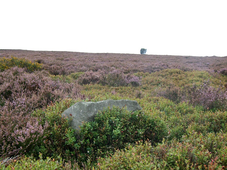 Eyam Moor III stone circle looking westwards