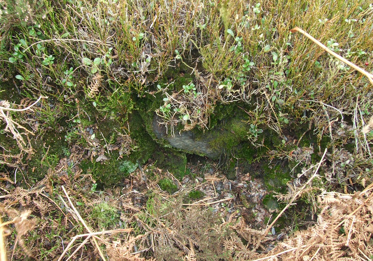 Eyam II cairn within the stone circle