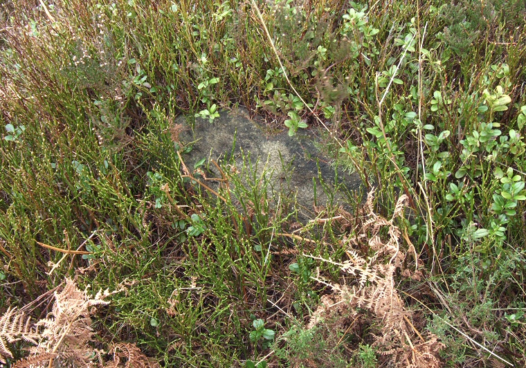 Eyam II stone circle