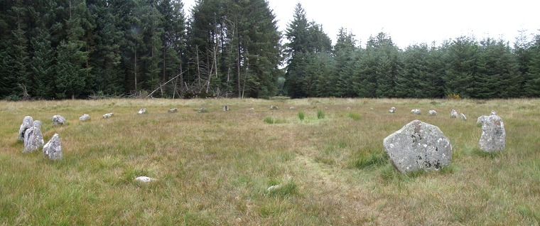 Fernworthy Circle looking north