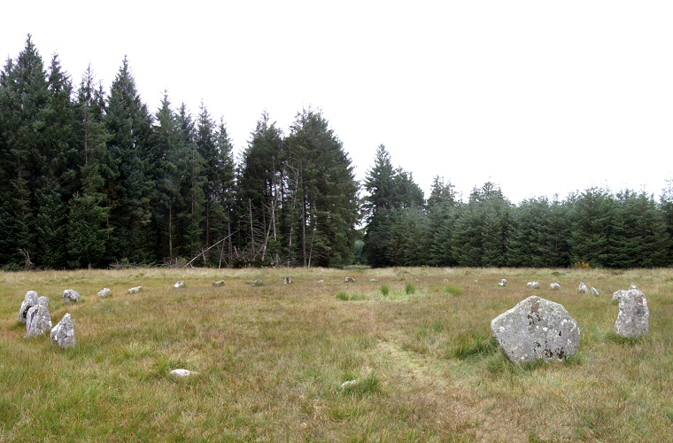 Fernworthy Circle looking north