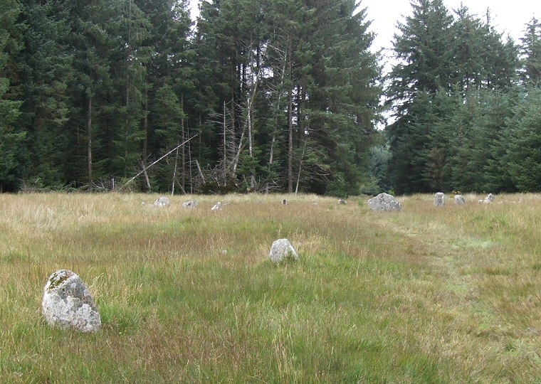 Remains of one of the southern stone rows leading to Fernworthy Circle