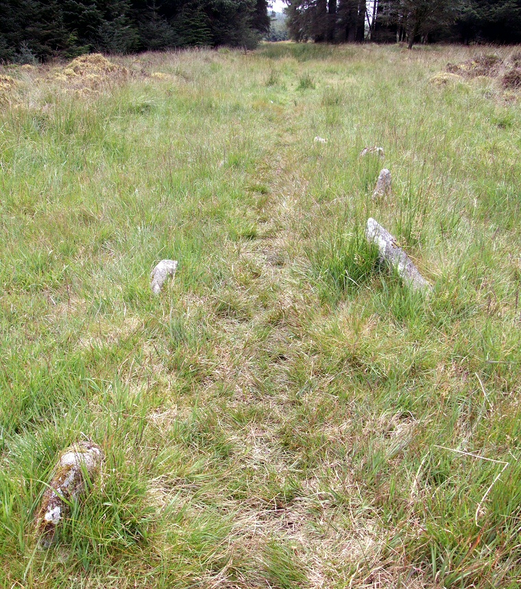 Fernworthy North stone row looking south