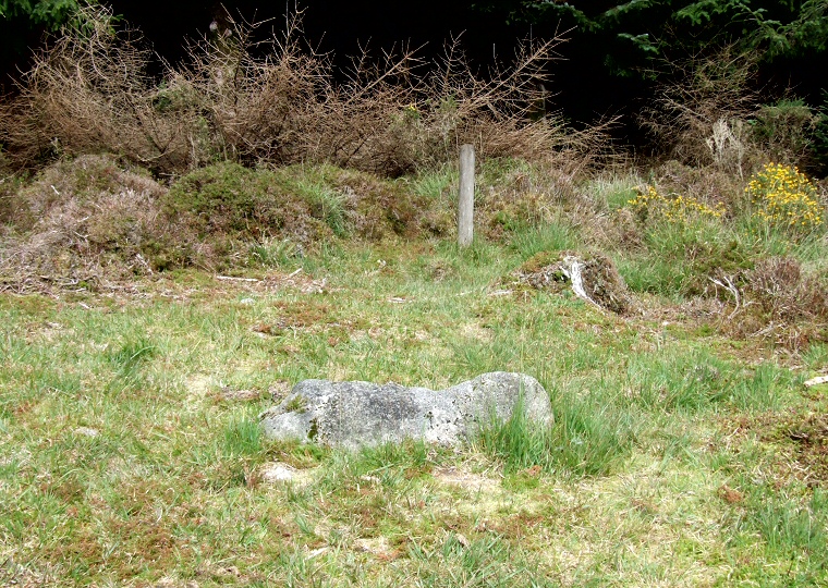 Fernworthy row north blocking stone