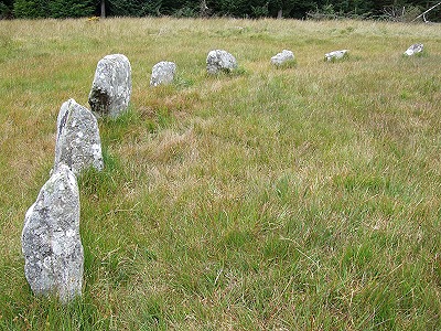 Fernworthy Circle - western arc of stones