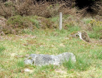 Fernworthy row north blocking stone