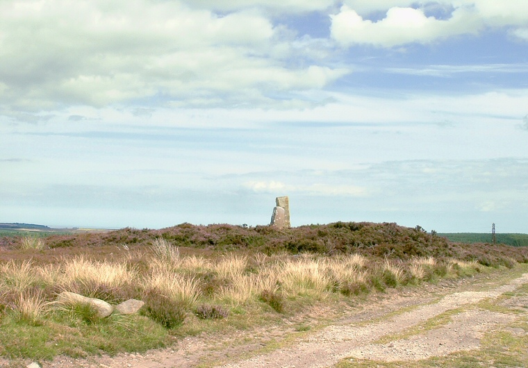 Flass Brow barrow looking east