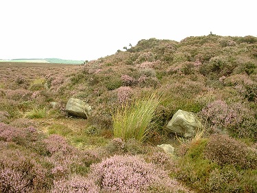 Flat Howes north barrow kerb