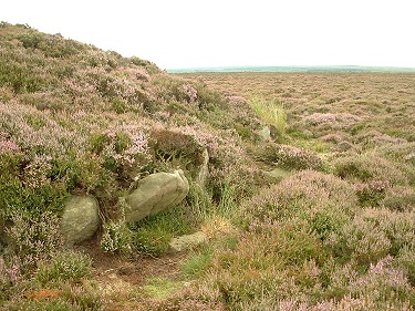 Flat Howes north barrow kerb