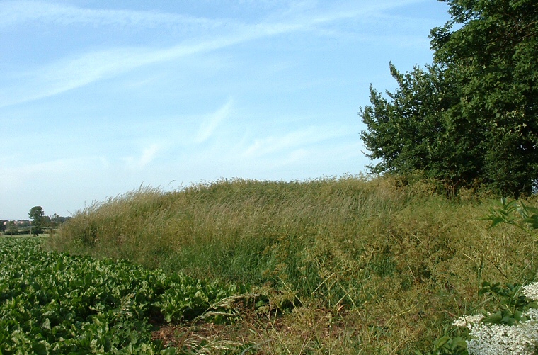 Folk Moot looking east 