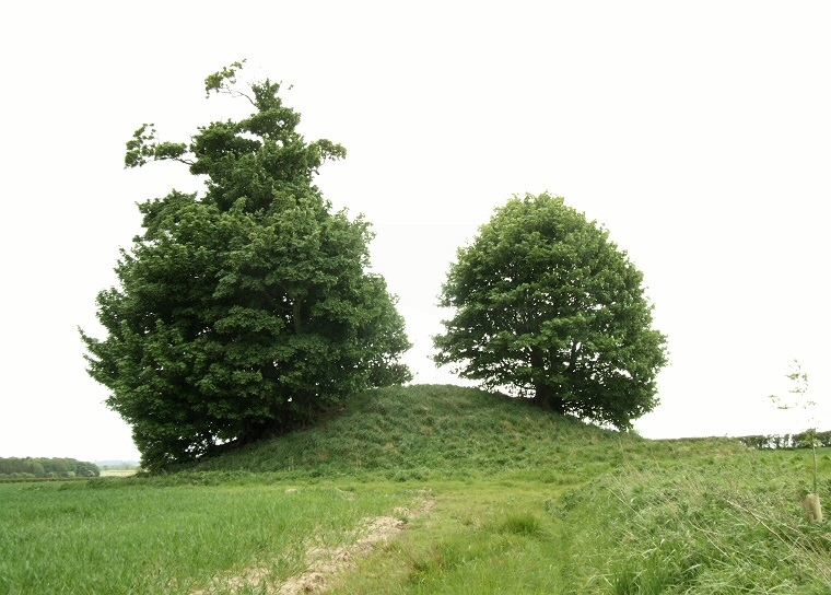 Fox Hill Round Barrow