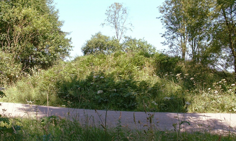 Fox Howe Round Barrow - Dalby Forest