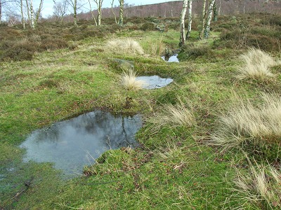 Gardom Pit Alignment
