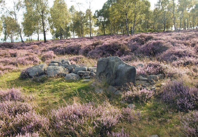 Cairn with upright stone close to enclosure walls