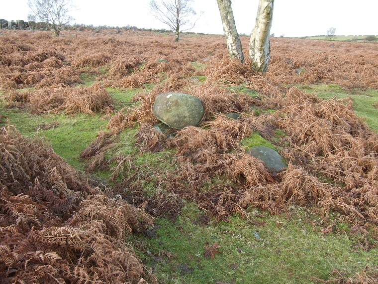 Gardom's Edge Ring Cairn