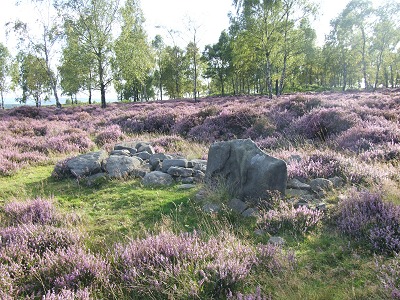 Cairn with upright stone close to enclosure walls