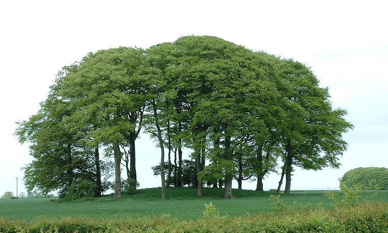 Garrowby Wold round barrow