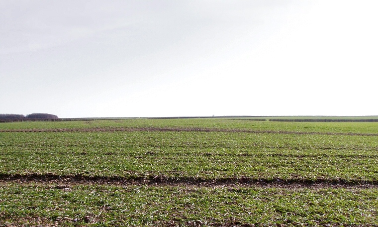 Garton 80 Barrow looking south