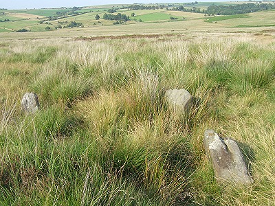 Gibbet Moor Four Poster looking north